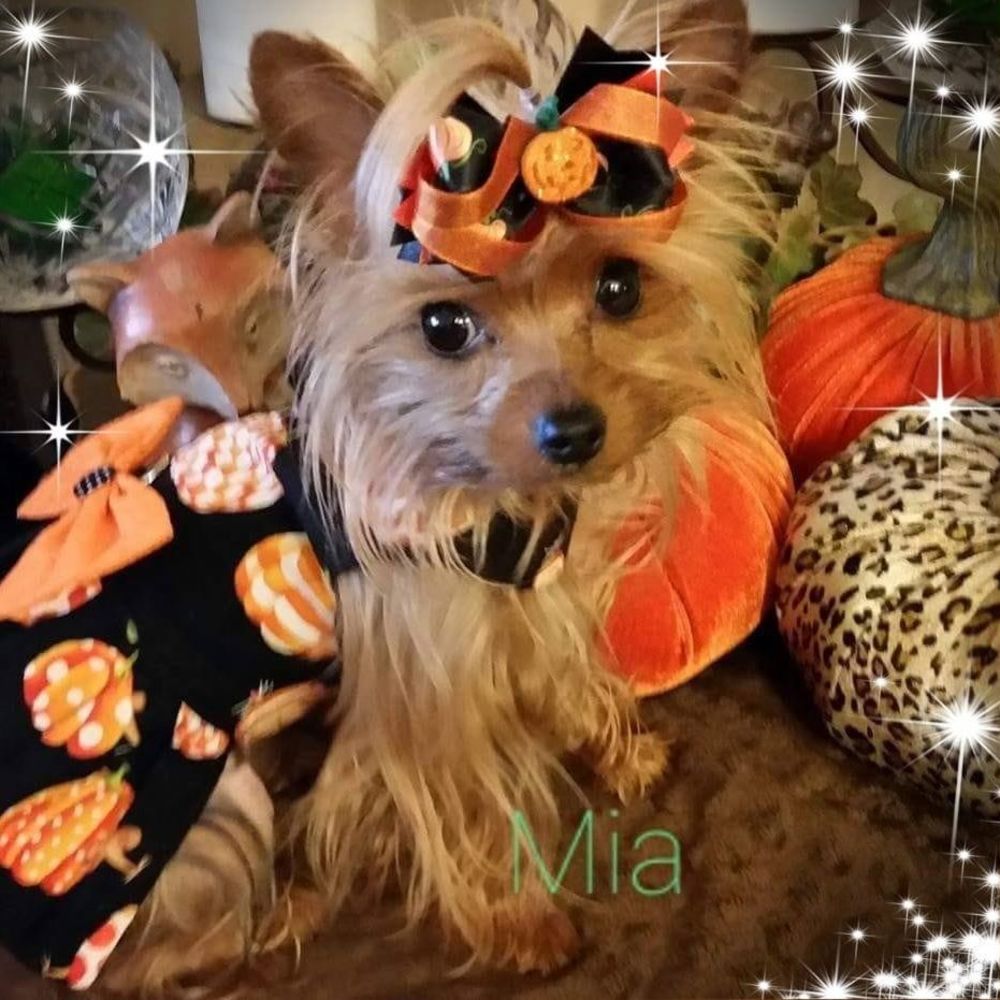 Meet your Posher, Theresa